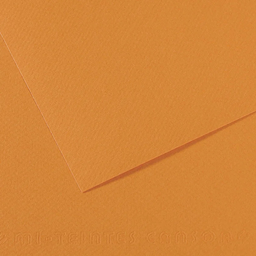 Canson Mi-Teintes 50x65cm 160gsm Paper Pack of 10 Sheets