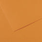 Canson Mi-Teintes 50x65cm 160gsm Paper Pack of 10 Sheets