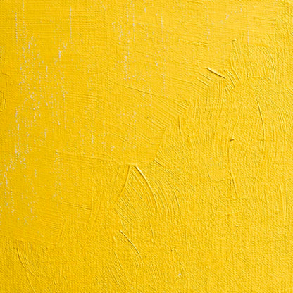 BLOCKX Artists' Oil Paints 20ml