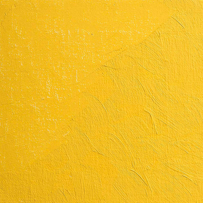 BLOCKX Artists' Oil Paints 20ml