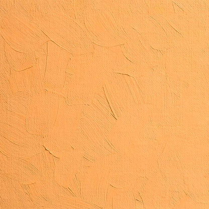 BLOCKX Artists' Oil Paints 20ml