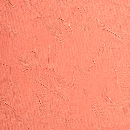 BLOCKX Artists' Oil Paints 20ml