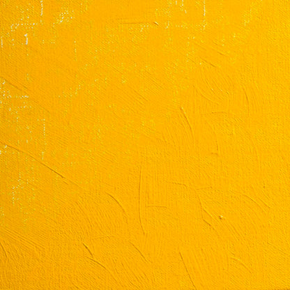 BLOCKX Artists' Oil Paints 20ml