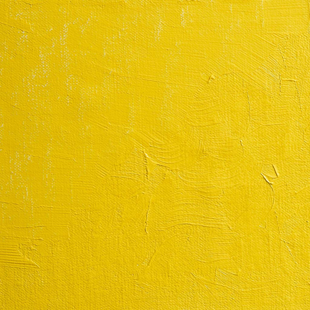 BLOCKX Artists' Oil Paints 20ml