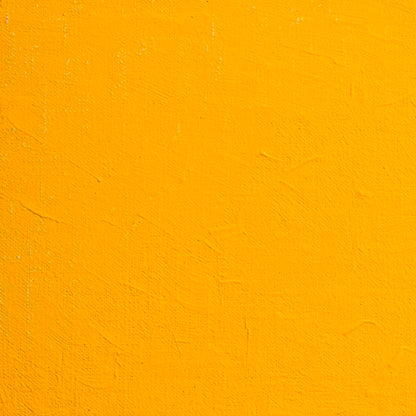 BLOCKX Artists' Oil Paints 20ml