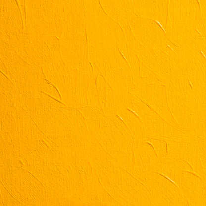 BLOCKX Artists' Oil Paints 20ml