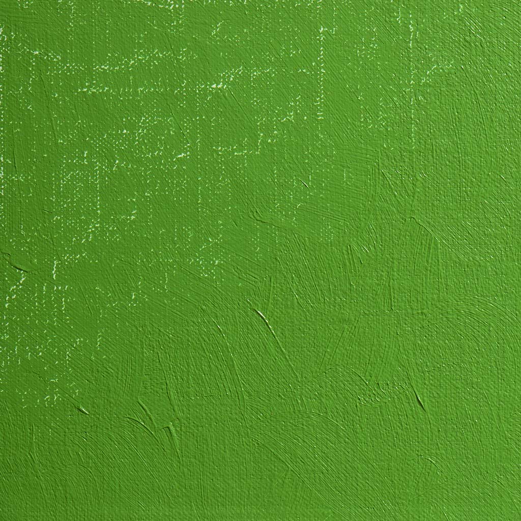 BLOCKX Artists' Oil Paints 20ml