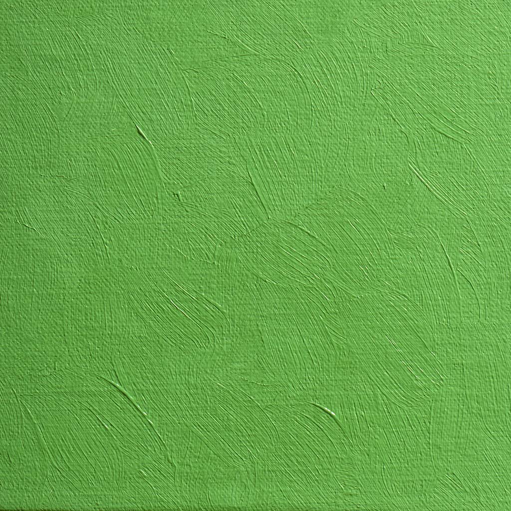 BLOCKX Artists' Oil Paints 20ml