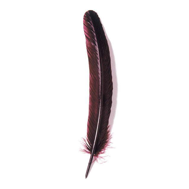 Jacques Herbin Goose Quills 28cm