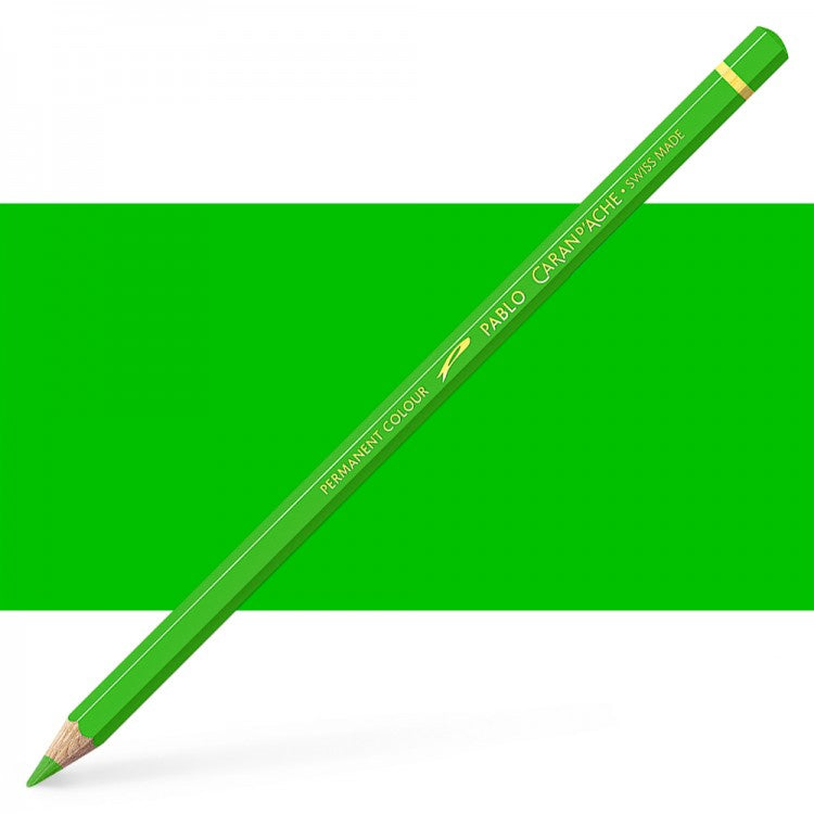 Caran D'ache Pablo Coloured Pencils