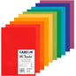 Canson Mi-Teintes Paper A4 160gsm Assorted Colours Paper Pack of 10 Sheets