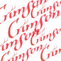 Winsor & Newton Calligraphy Inks 30ml