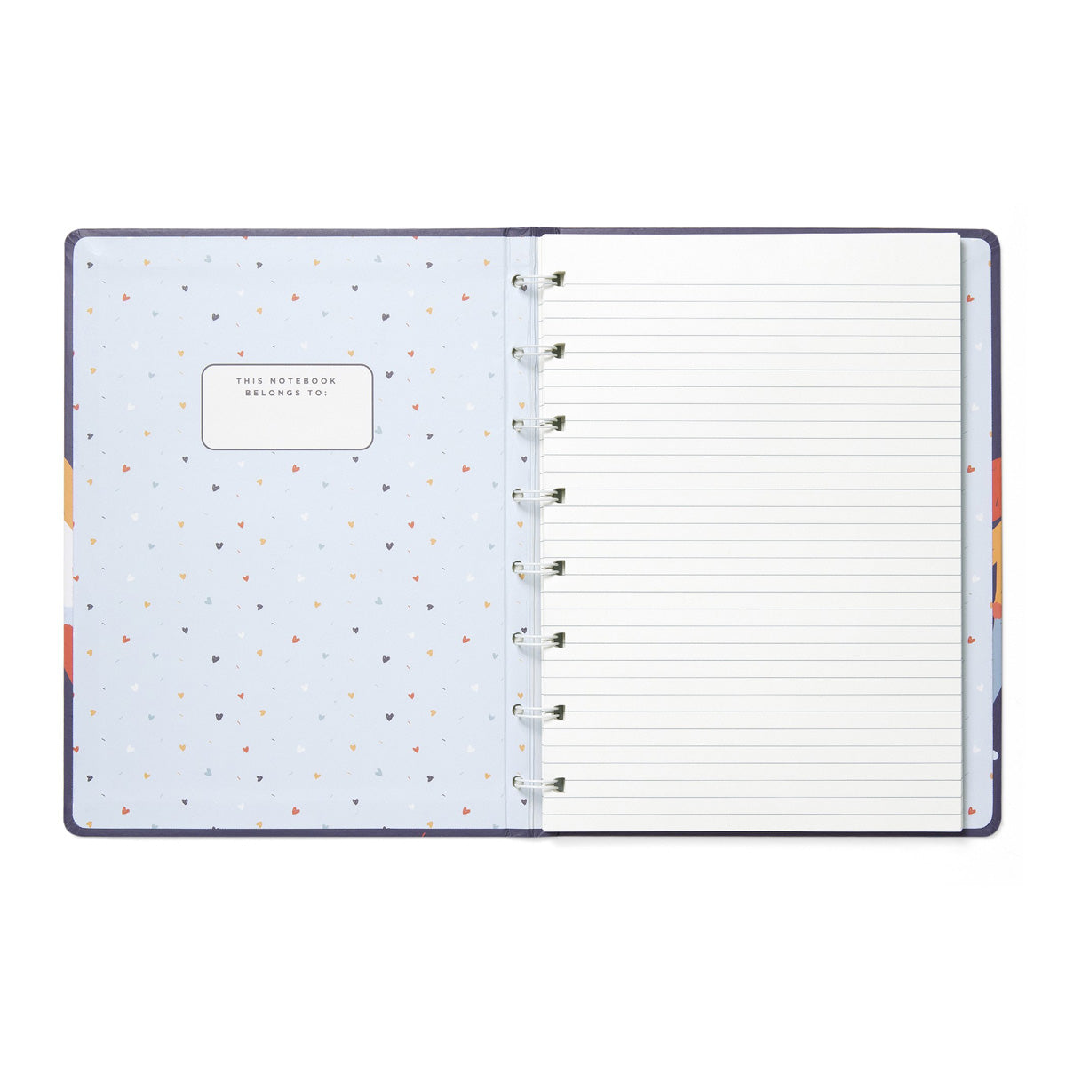 Filofax A5 Refillable Lined Notebooks