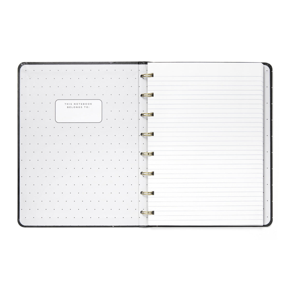 Filofax A5 Refillable Lined Notebooks
