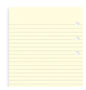 Filofax Lined A5 Notepapers