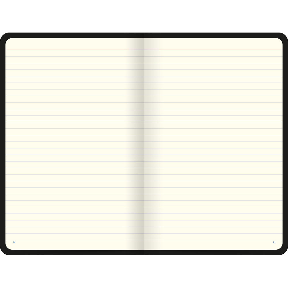 Letts Icon Ruled Notebooks