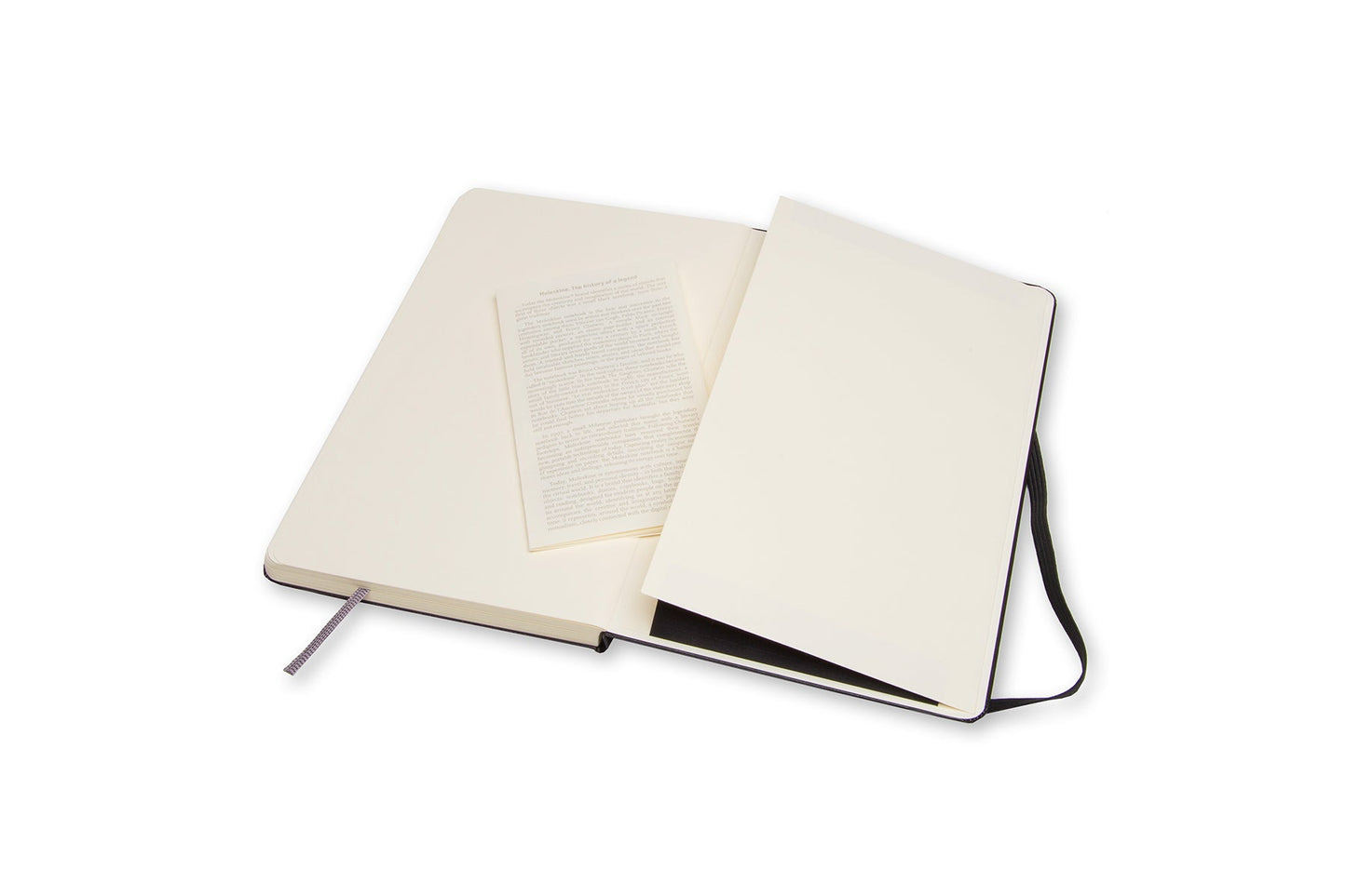 Moleskine Art Large Sketchbooks