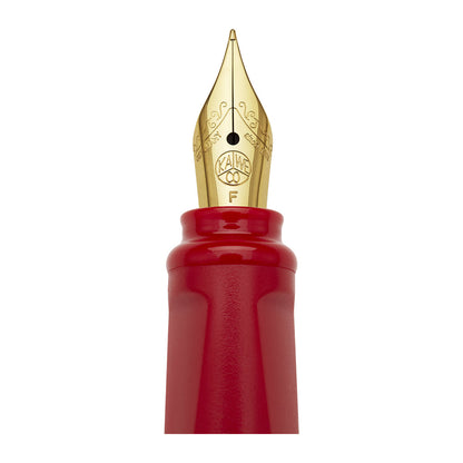Moleskine Kaweco Fountain Pen F Nibs