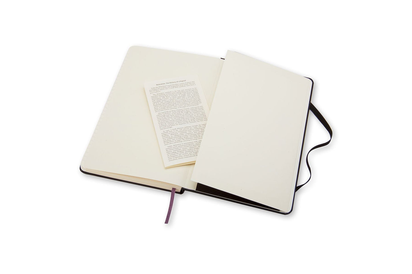 Moleskine Large Ruled Hard Cover Notebooks