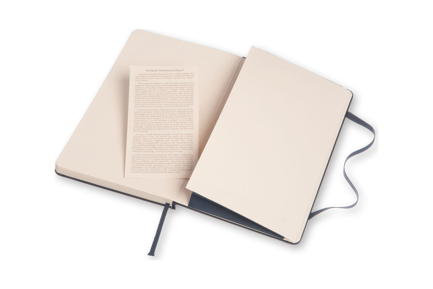 Moleskine Large Ruled Hard Cover Notebooks