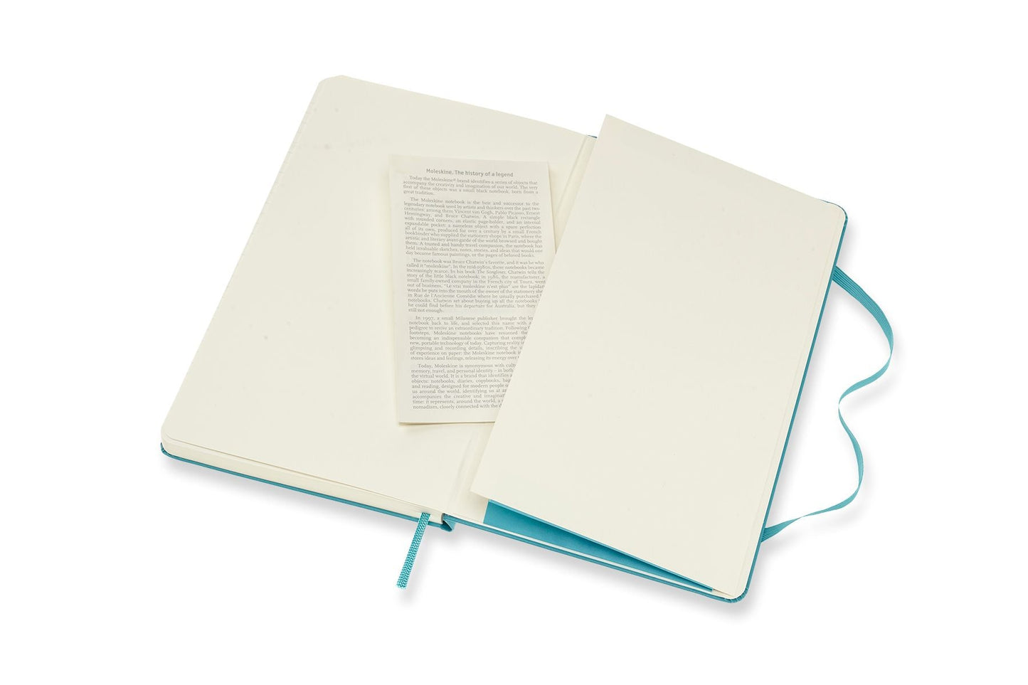 Moleskine Large Ruled Hard Cover Notebooks