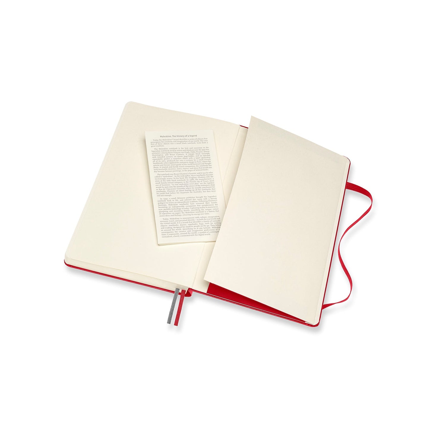 Moleskine Large Expanded Ruled Hard Cover Notebooks