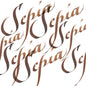 Winsor & Newton Calligraphy Inks 30ml