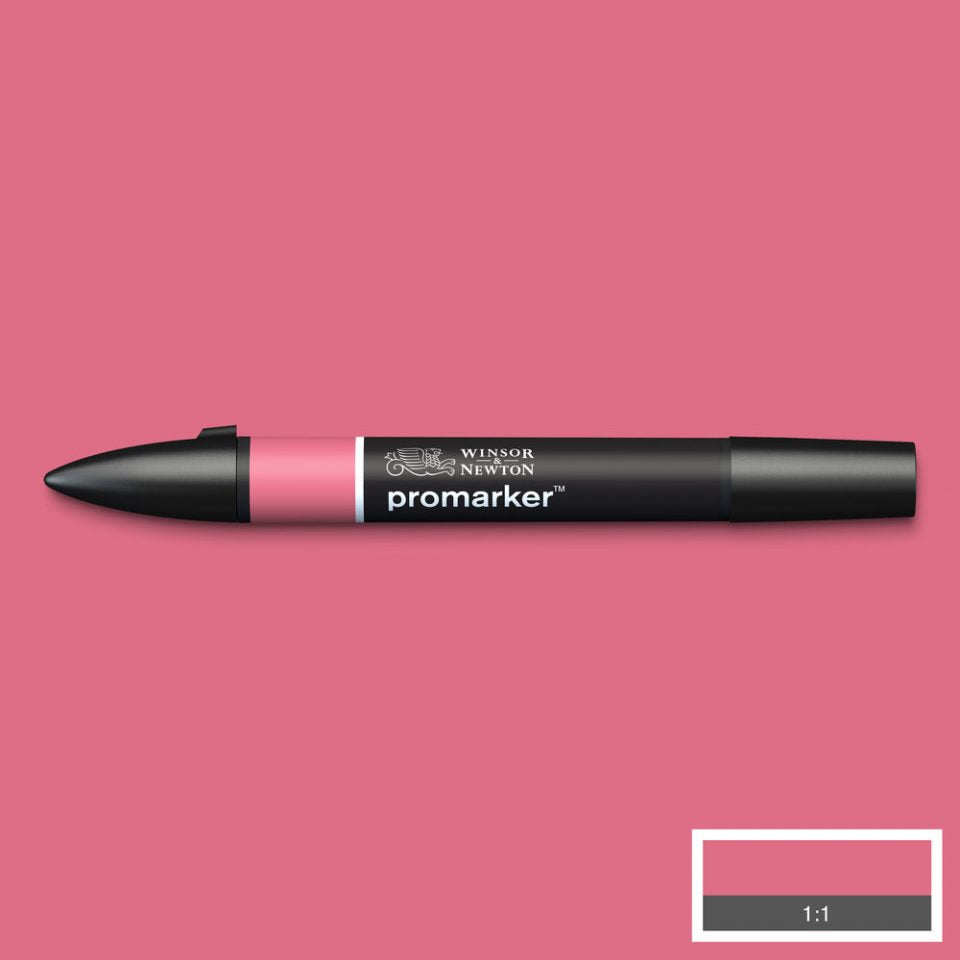 Winsor & Newton Promarkers Colours A-D