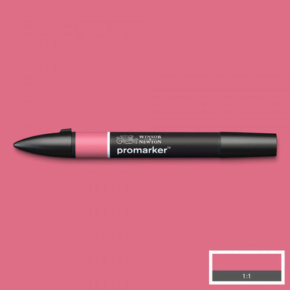 Winsor & Newton Promarkers Colours A-D