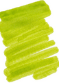 Pilot Iroshizuku Fountain Pen Inks 15ml