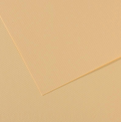 Canson Mi-Teintes 50x65cm 160gsm Paper Pack of 25 Sheets