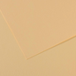Canson Mi-Teintes 50x65cm 160gsm Paper Pack of 25 Sheets