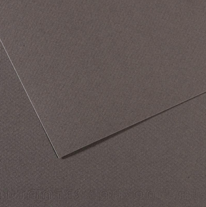 Canson Mi-Teintes 50x65cm 160gsm Paper Pack of 25 Sheets