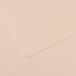 Canson Mi-Teintes 50x65cm 160gsm Paper Pack of 10 Sheets