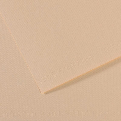 Canson Mi-Teintes 50x65cm 160gsm Paper Pack of 25 Sheets