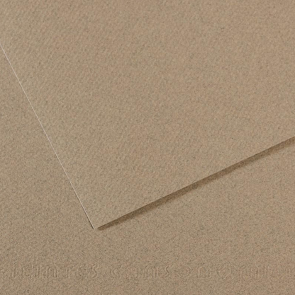 Canson Mi-Teintes 50x65cm 160gsm Paper Pack of 25 Sheets