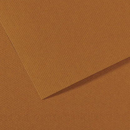 Canson Mi-Teintes 50x65cm 160gsm Paper Pack of 10 Sheets