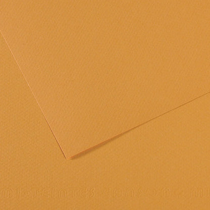 Canson Mi-Teintes 50x65cm 160gsm Paper Pack of 25 Sheets