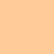 Fabriano Tiziano Pastel 160gsm 50x65cm Paper Pack of 10 Sheets