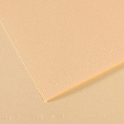 Canson Mi-Teintes 50x65cm 160gsm Paper Pack of 25 Sheets