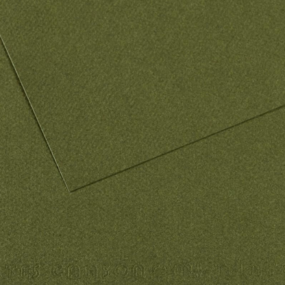 Canson Mi-Teintes 50x65cm 160gsm Paper Pack of 25 Sheets
