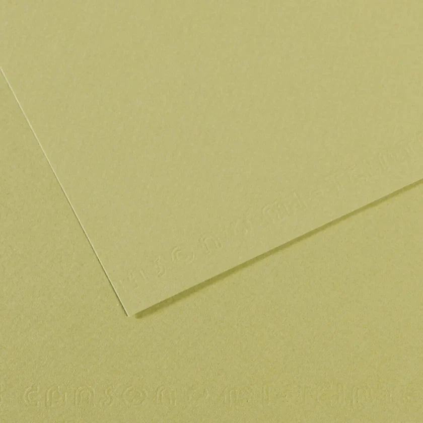 Canson Mi-Teintes 50x65cm 160gsm Paper Pack of 10 Sheets