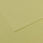 Canson Mi-Teintes 50x65cm 160gsm Paper Pack of 25 Sheets