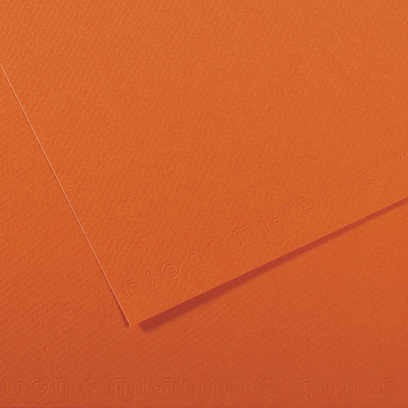 Canson Mi-Teintes 50x65cm 160gsm Paper Pack of 10 Sheets