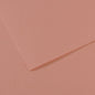 Canson Mi-Teintes 50x65cm 160gsm Paper Pack of 10 Sheets