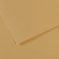 Canson Mi-Teintes 50x65cm 160gsm Paper Pack of 25 Sheets