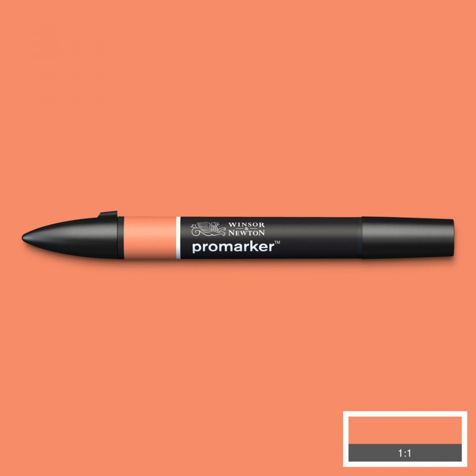 Winsor & Newton Promarkers Colours P-Z