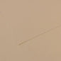 Canson Mi-Teintes 50x65cm 160gsm Paper Pack of 25 Sheets