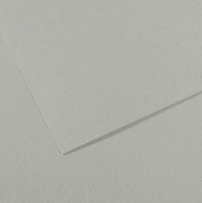 Canson Mi-Teintes 50x65cm 160gsm Paper Pack of 25 Sheets