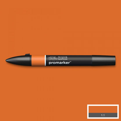 Winsor & Newton Promarkers Colours P-Z